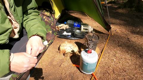 assembling my MSR pocket rocket to make a brew. woodland wildcamping