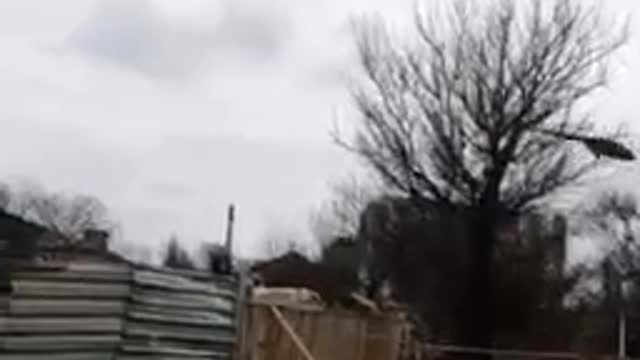 Gostomel, Kiev region. New footage.