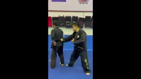 Hapkido