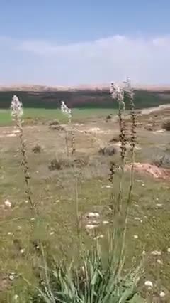 Ait bou Ali tidili massfioua 1