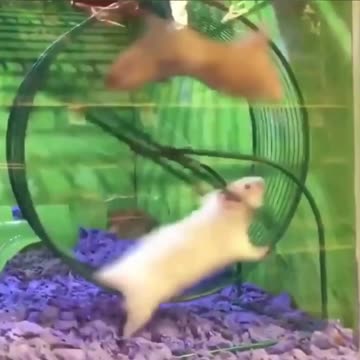 Alvin Superstar Is Pranking By His Brother