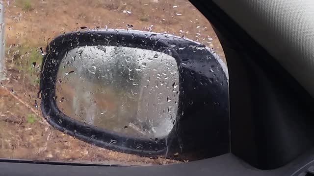 Blue Wren Dislikes His Own Reflection