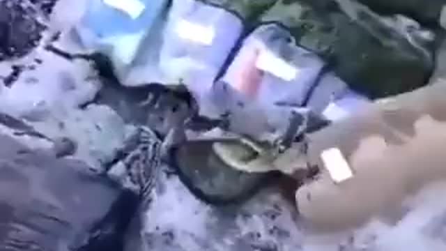 #Ukraine Footage appears to show evidence of Russian soldiers giving up the fight on Day 1,