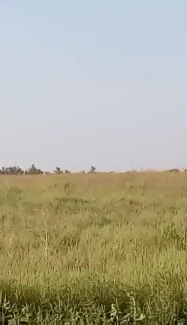 MANPADs v 'Alligators'