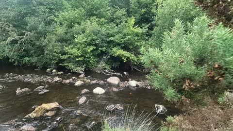 Riverside