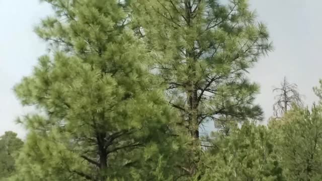 DC-10 tanker 3rd video