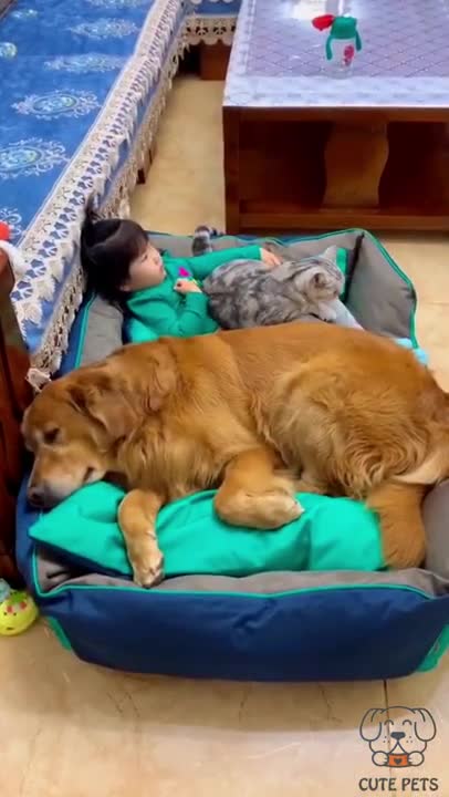 Funny video cat and dog with baby 2021