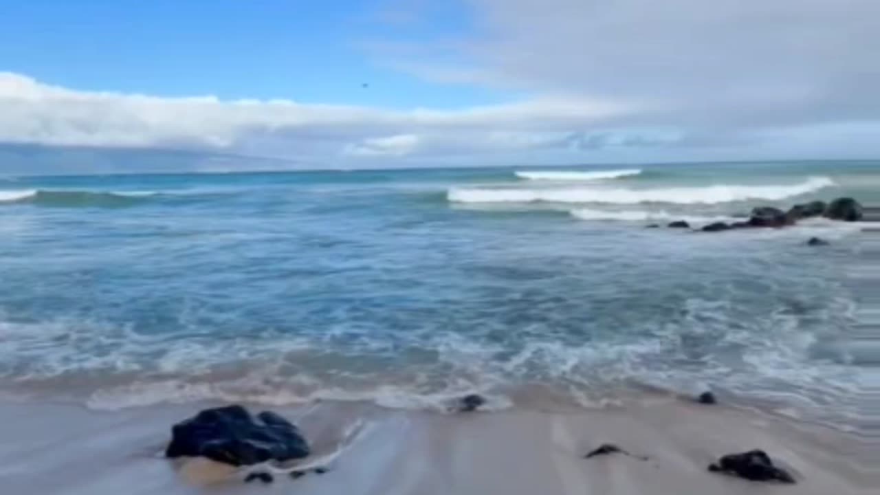 comfortable ๐Paia Beach ๐๏ธ Maui, Hawaii ๐บ