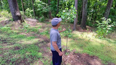 KaraBand Country Life May 2024