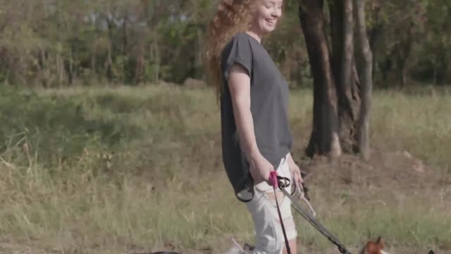 Woman Walking Dogs