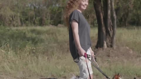 Woman Walking Dogs