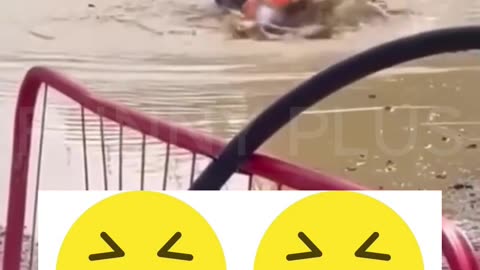 Epic Funny Fails 2024 part 1 funnyvideos funny shorts fail compilation_