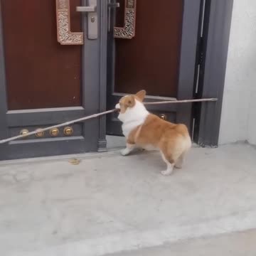 Everything will come in handy on the farm!