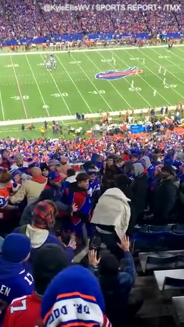 Buffalo Bills fans get into heated brawl in the stands during game