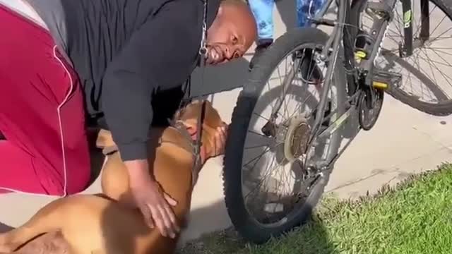 Man saves dog! 🐾🐕❤️😪