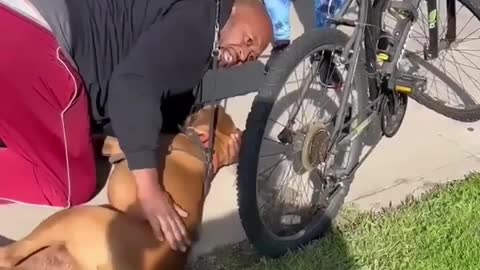 Man saves dog! 🐾🐕❤️😪