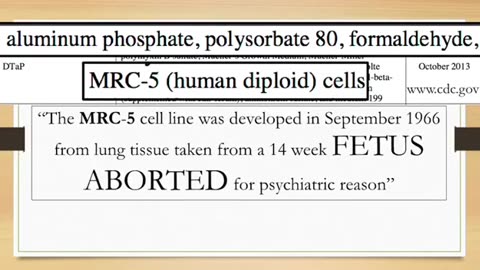 Blood brain barrier