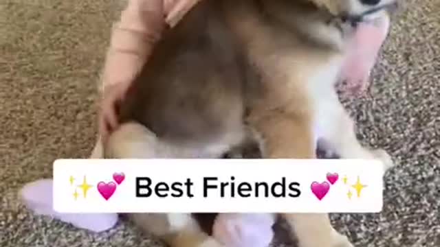 Cute Baby With Cute Puppy Video 💥