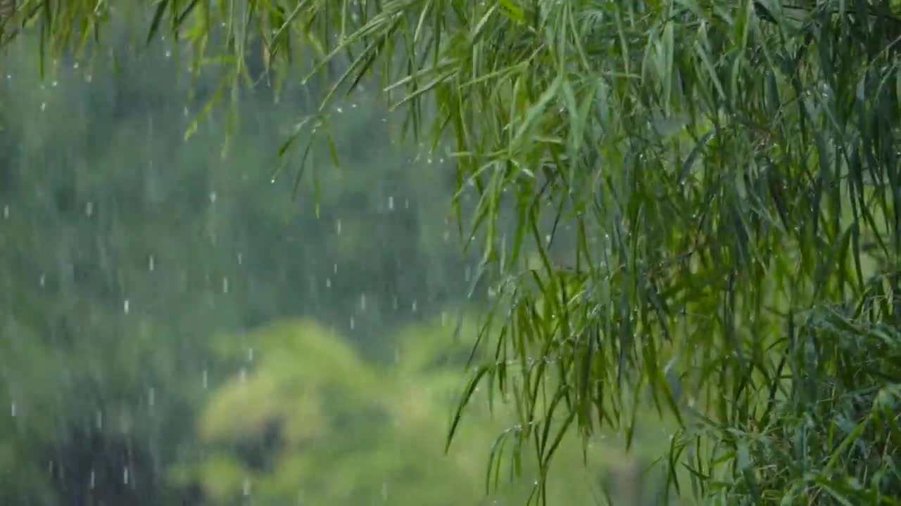 Relax music for a good sleep