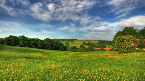 Panarama nature shooting