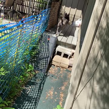 Finally ready to go in