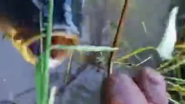 Best way to start fishing