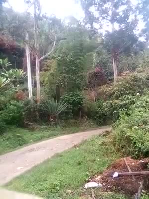 Revelan video del momento en que escapan presuntos autores de la masacre en Tacueyó, Cauca