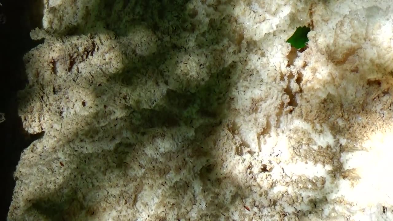 River Foam