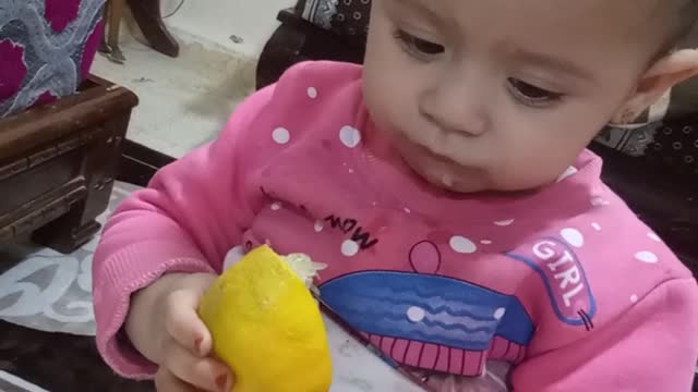 baby loves lemon 🍋