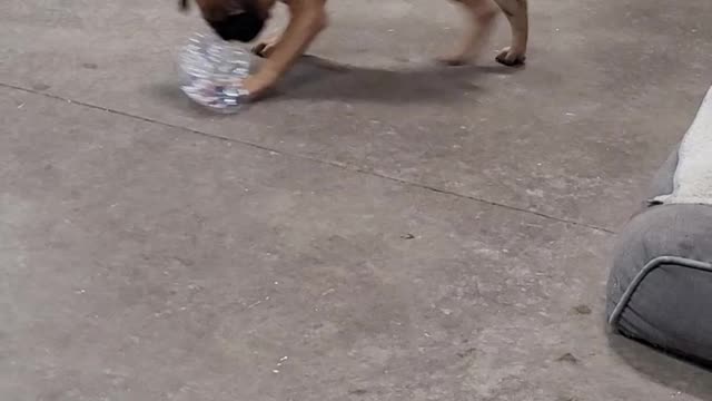 Water bottles are fun!