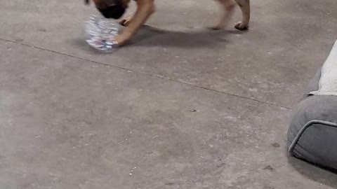 Water bottles are fun!