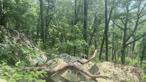 Seeing our national struggle from a higher vantage point