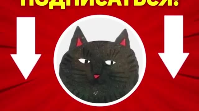 Cat Funny videos compilation subscribe pls to our channel