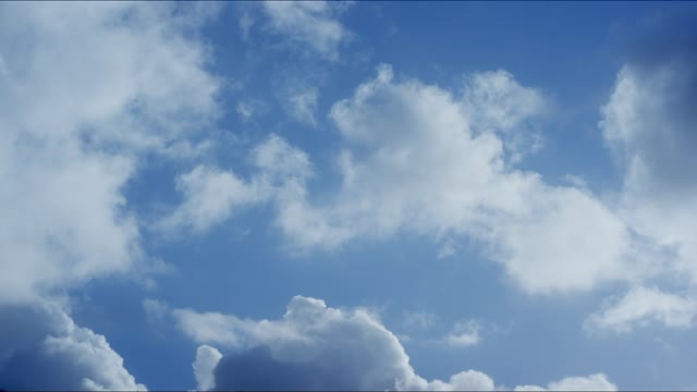 video record by stand camera.