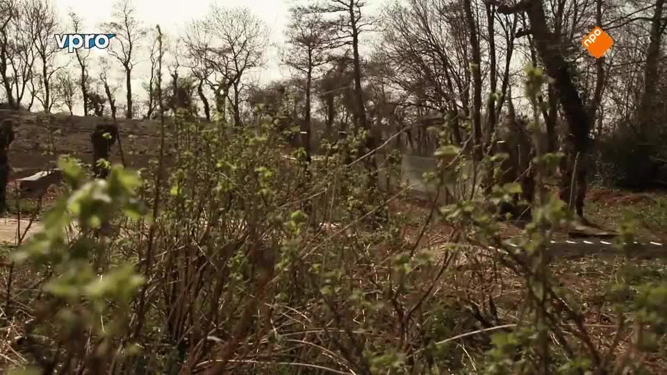 Maartens Moestuin deel 3/10. Kapucijners en sperziebonen