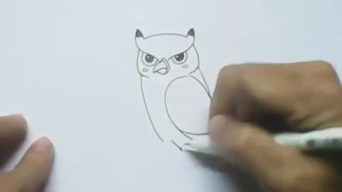 How to draw owl