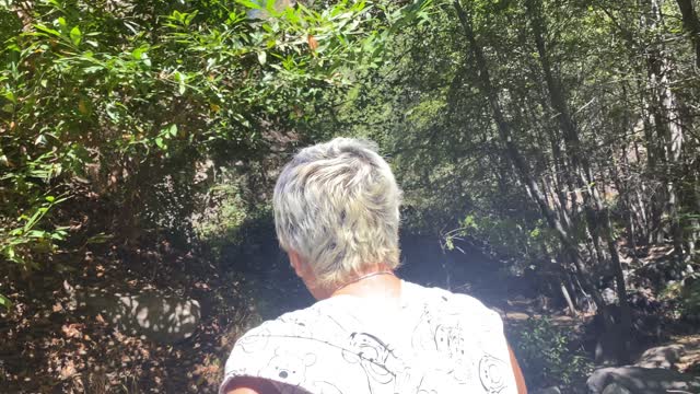Hike with Fam Miller Falls Trail CA