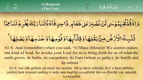 Surah Al Baqarah Mashary Al afasy