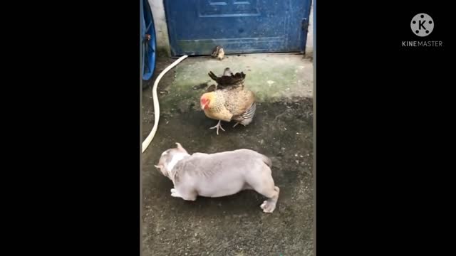 Every mother is there to save their child. Respect All Mothers 🙇🙇🙇🙇