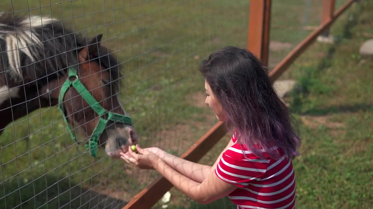 attractive woman feeding a pony in farm