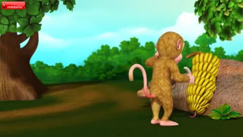 Monkeys amazing video