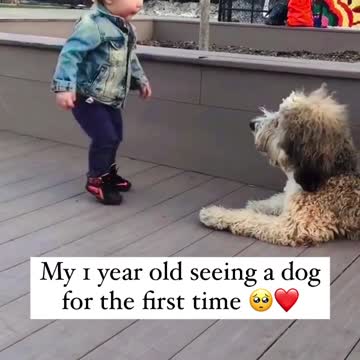 Kid Saw A Dog For First Time | Beautiful Bond | Pets With Kids