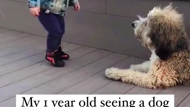 Kid Saw A Dog For First Time | Beautiful Bond | Pets With Kids