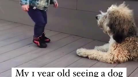 Kid Saw A Dog For First Time | Beautiful Bond | Pets With Kids