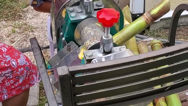 Making sugarcane juice at home