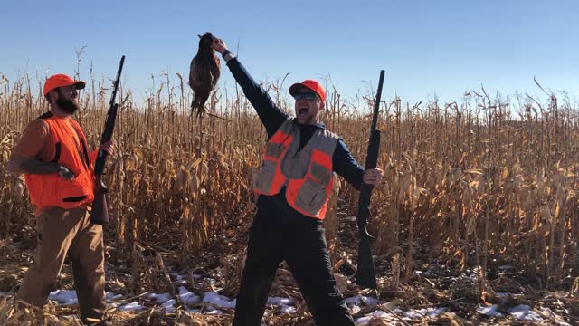 Man vs Pheasant