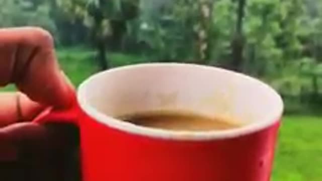 Enjoy rain with a cup of tea and song{বৃষ্টি উপভোগ করুন এক কাপ চা এবং গানের সাথে }