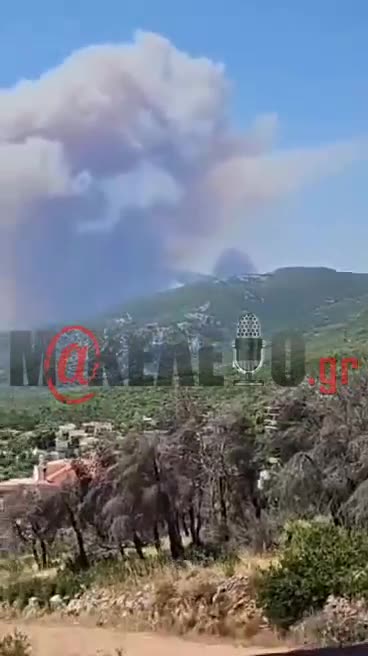 Φωτιά στη Φυλή