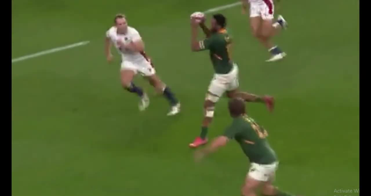 Springbok Mapimpi LEAVING Am HANGING since 2019!!