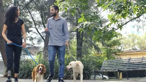 Couple walking with their dogs through a park